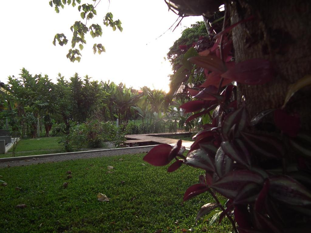 Villa De Mama Rawai Luaran gambar