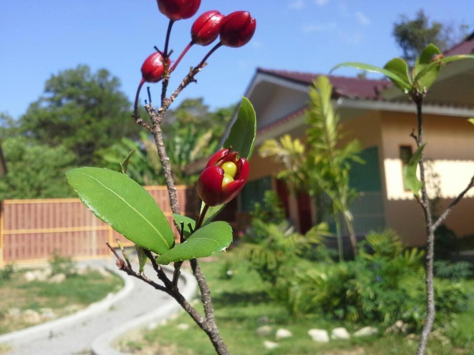 Villa De Mama Rawai Bilik gambar